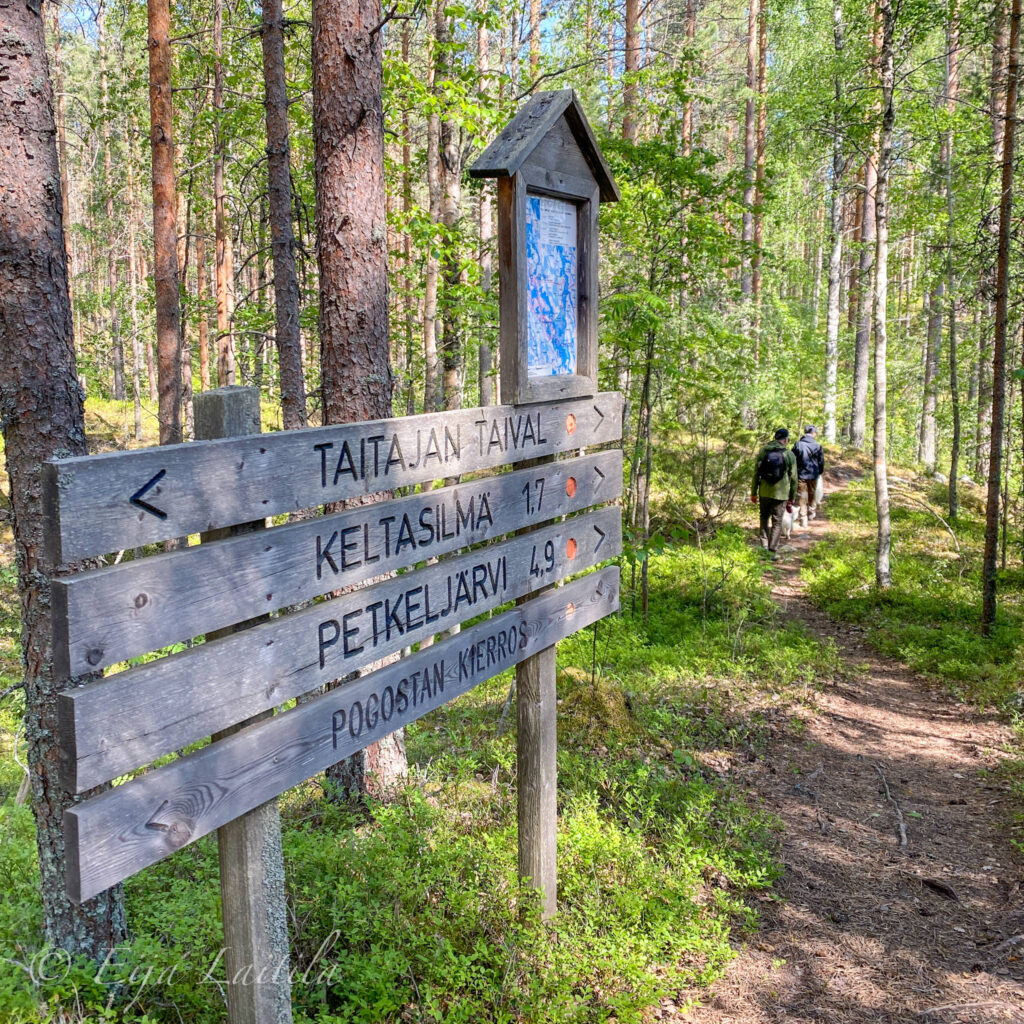 Ulkoilureitin puinen opaste metsässä.