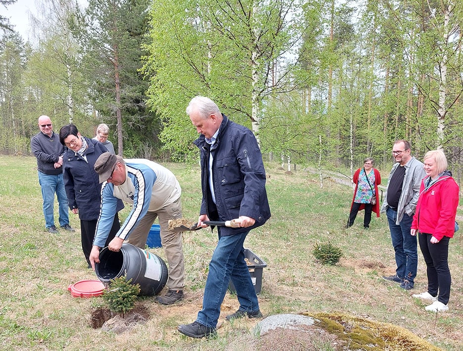 Istuttamassa kääpiökuusia.
