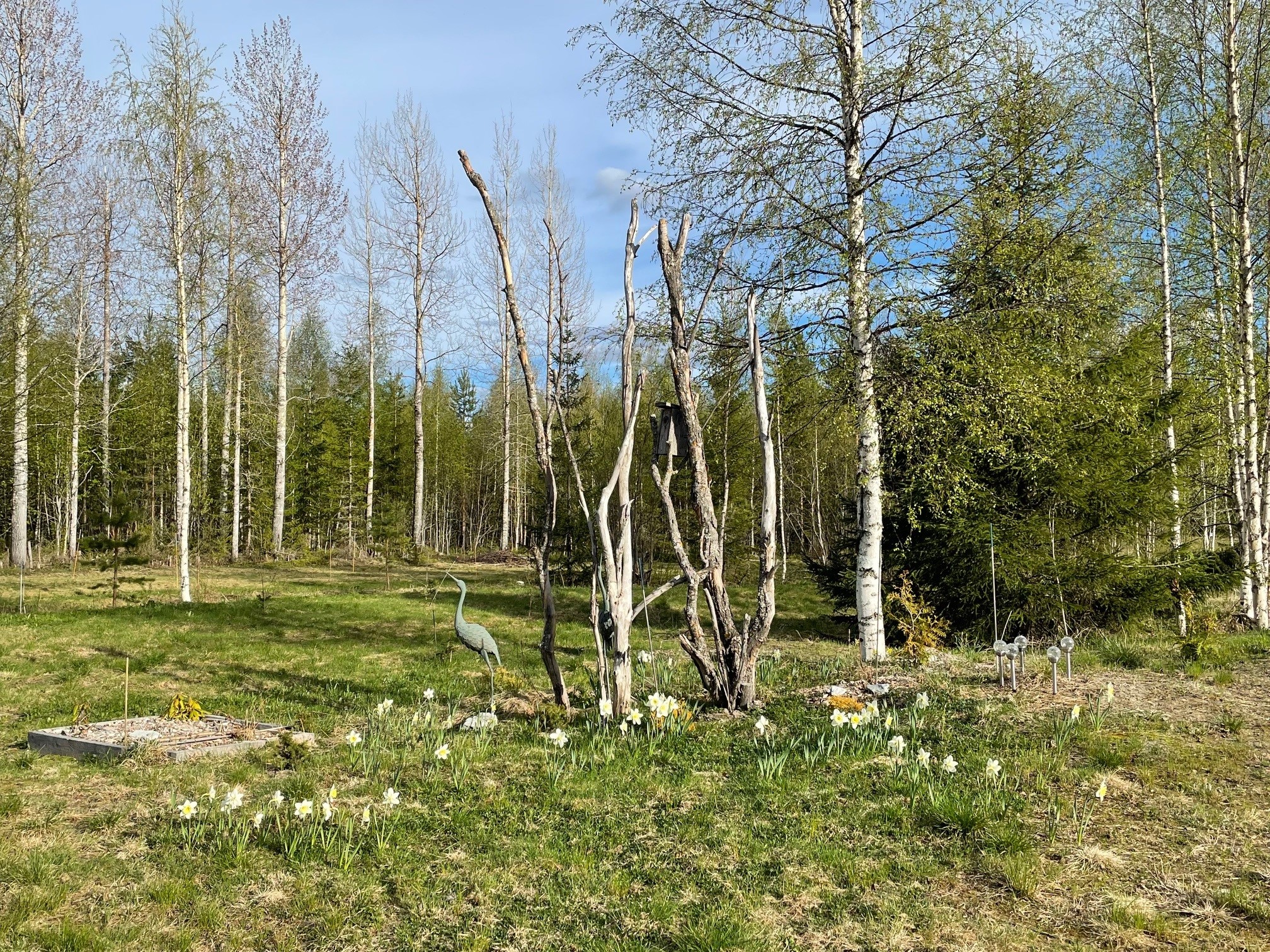 Kosteikkoalue.